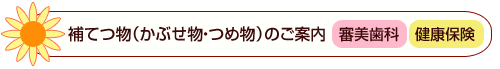 補てつ物（かぶせ物・つめ物）のご案内